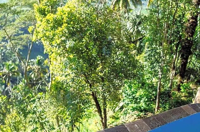 Cemara Hill Wisma Kerta